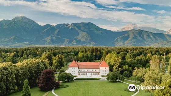 Brdo Castle
