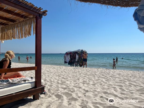Summer Dream Beach Club