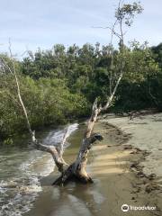 Parque nacional Islas Molle