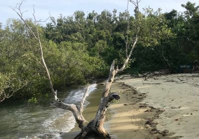 Parque nacional Islas Molle