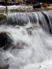 Wesley Hill Nature Preserve