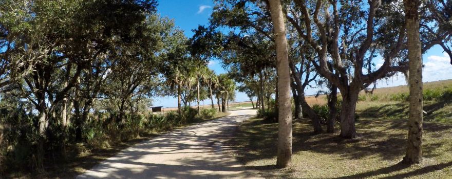 Kissimmee Prairie Preserve State Park