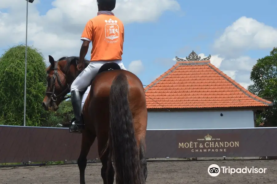 Royal Sport Horse Bali