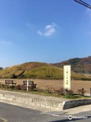 Fujinoki Tombs