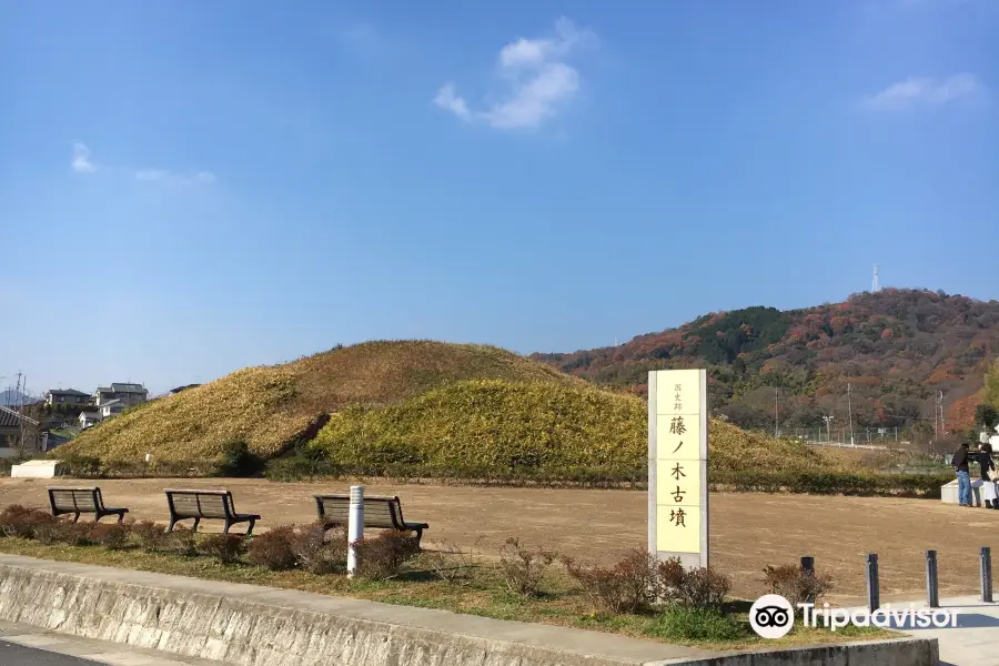 Fujinoki Tombs