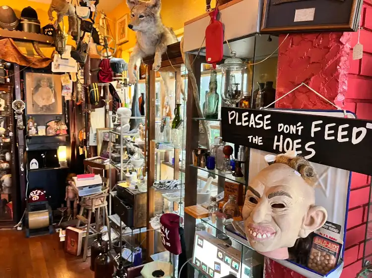 Hotels near Oddities And Antiques