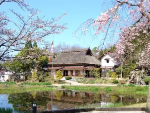 Bihoku Hillside Park