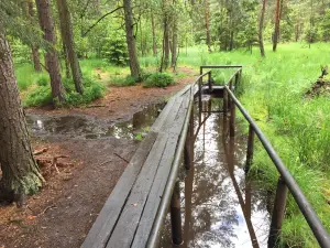 Naturpark Heidenreichsteiner Moor