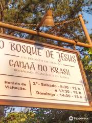 Bosque de Jesus