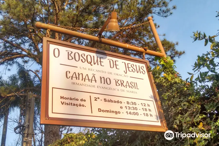 Bosque de Jesus