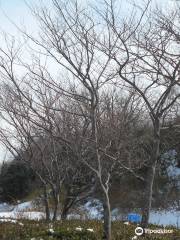 和田山 末寺山史跡公園