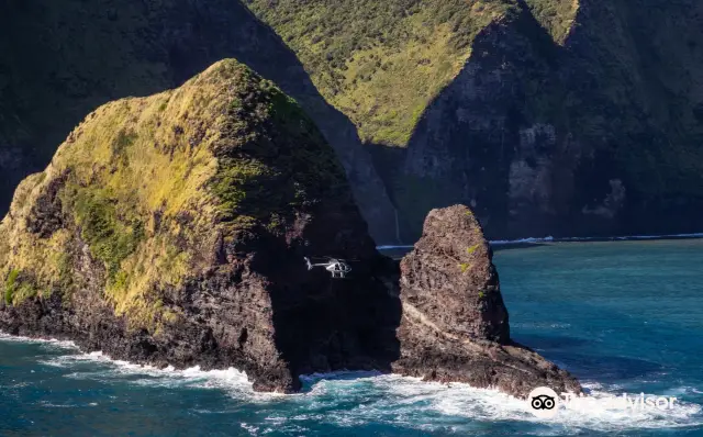 Helicopter Rides in Hawaii