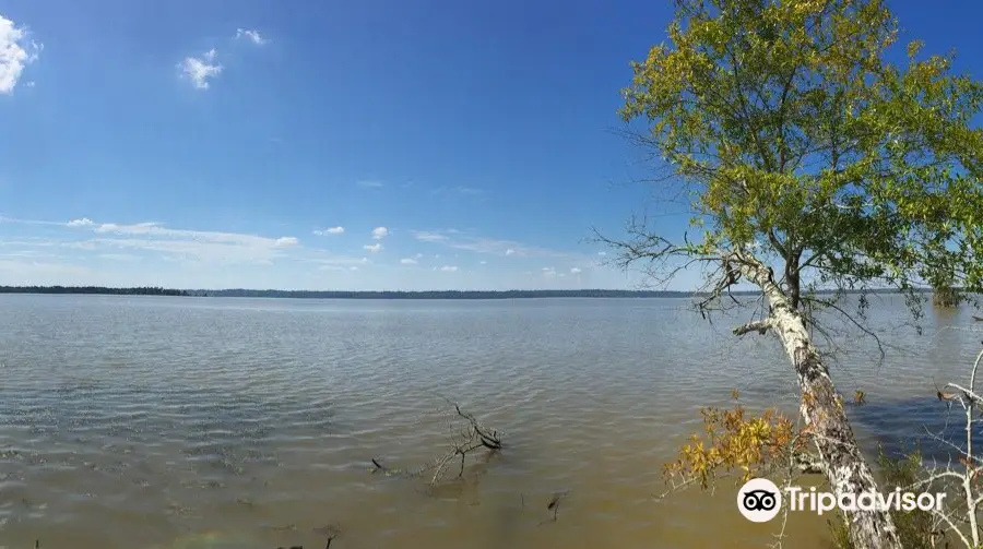 Martin Dies, Jr. State Park