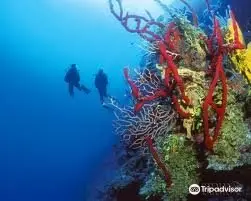 Similan Queen Diving Phuket