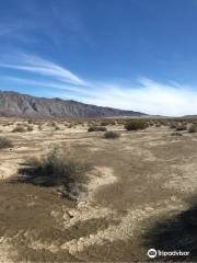 California Overland Desert Excursions