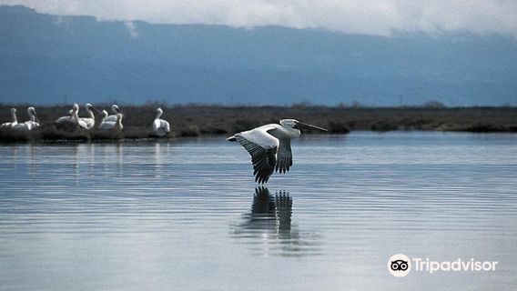 Rodia Wetlands