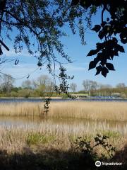 Weston Turville Reservoir