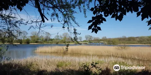 Weston Turville Reservoir