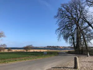 Nysø