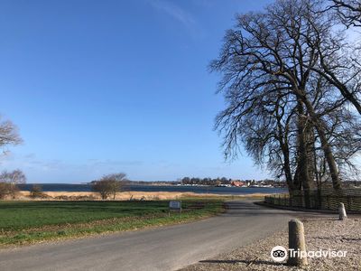 Nysø