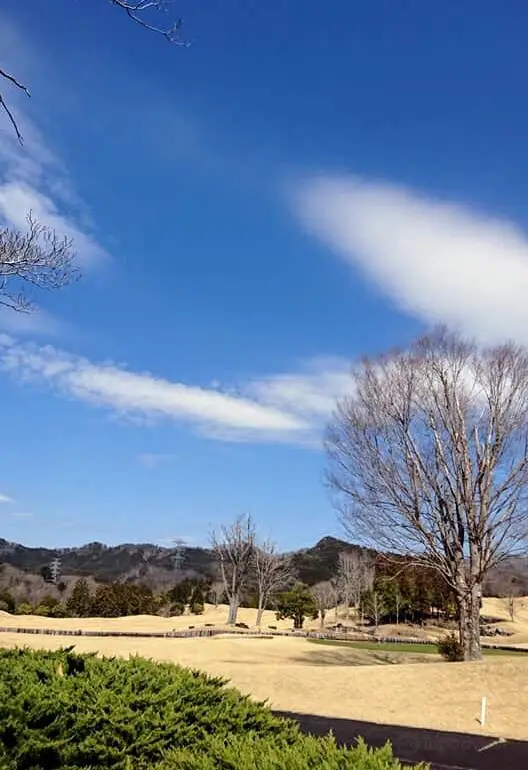 Shirosato
