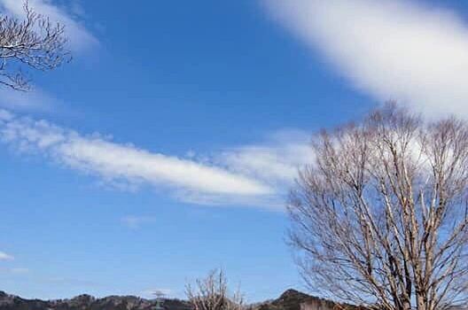Shirosato
