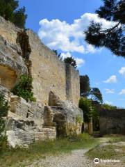 Abbey of Saint-Roman (L'abbaye de Saint-Roman)