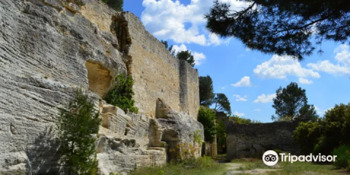 Abbey of Saint-Roman （L'abbaye de Saint-Roman）