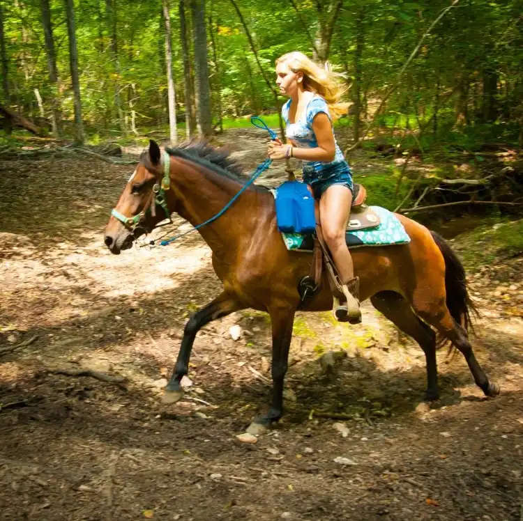 Hotels in Durham County