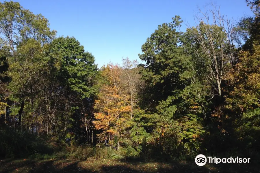 Burr Oak State Park