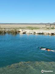 Meadow Hot Spring