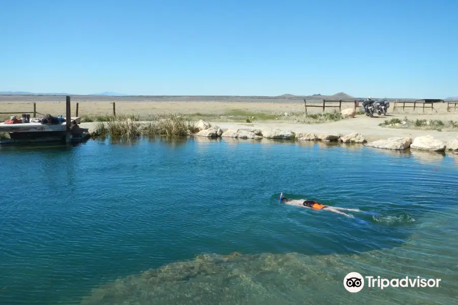 Meadow Hot Spring