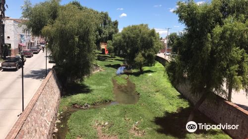 Plaza Principal - Jardin del Grande Hidalgo