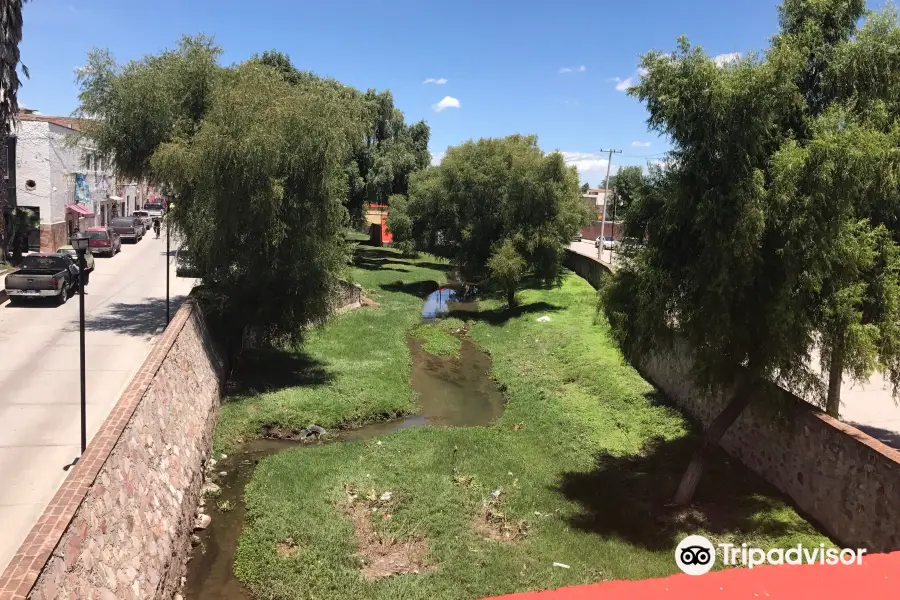 Plaza Principal - Jardin del Grande Hidalgo