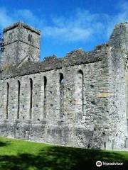 Abbazia di Sligo