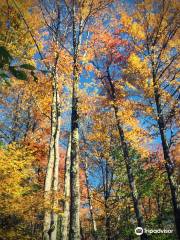 Gilbert Lake State Park