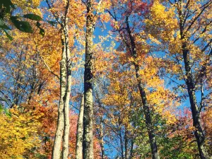 Gilbert Lake State Park