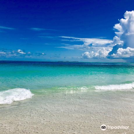 Bean Point Beach