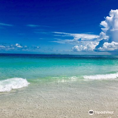 Bean Point Beach