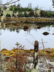 Taylor Head Provincial Park