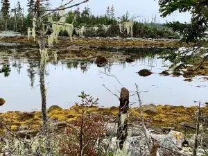 Taylor Head Provincial Park