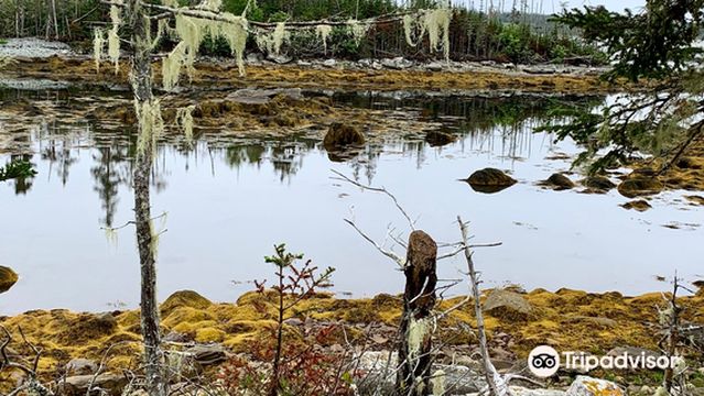 Taylor Head Provincial Park