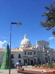 Cathedral Basilica of Our Lady of the Assumption