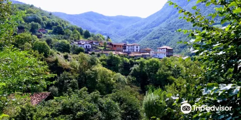 Parque Natural de Ponga