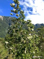 Sendero Paso Desolacion