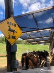 Schooner Valley Stables