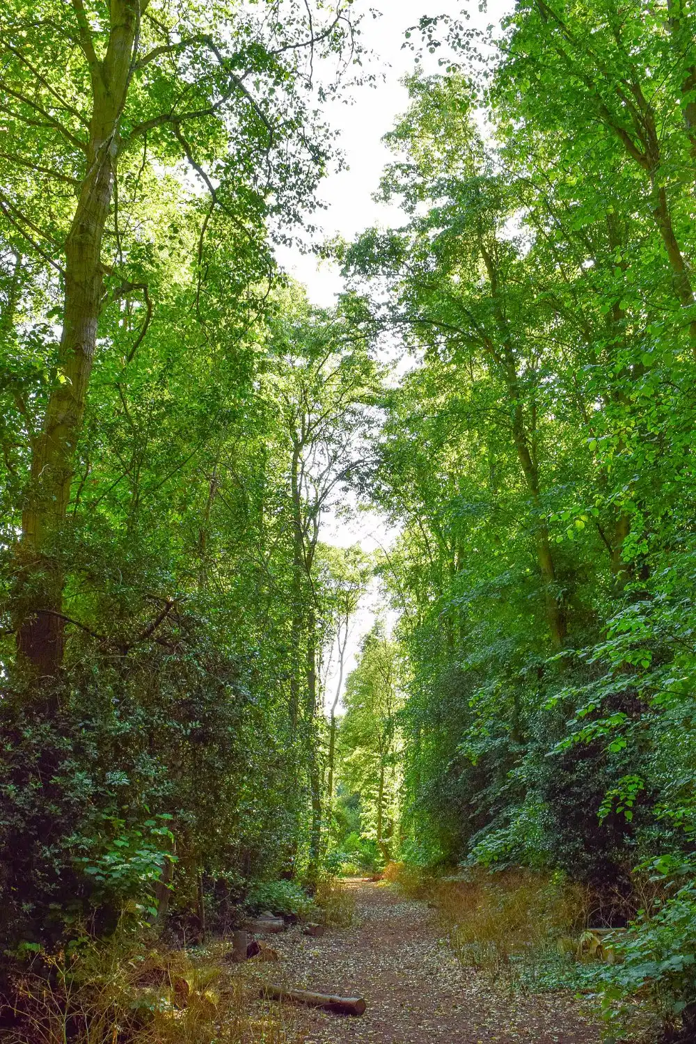 Hotels near Finedon Pocket Park