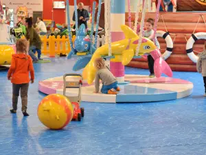 Flypark Radlin