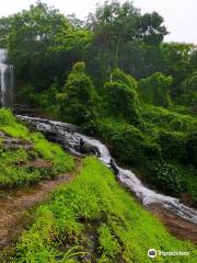 Paloor Kotta Waterfall