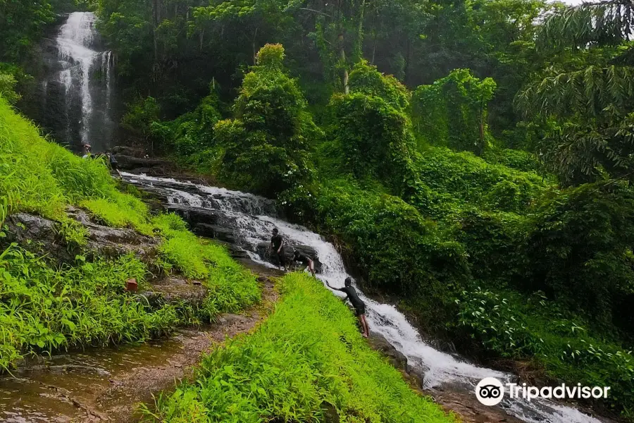 Paloor Kotta Waterfall